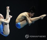 Japan Swimming Worlds