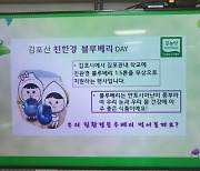 김포시, 64,000명 어린이와 학생에 블루베리 제공