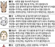 [직장인을 위한 오늘의 운세] 2023년 7월 19일 수요일 오늘의 띠별 운세 (음력 6월 2일)