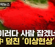 [자막뉴스] '파멸 수준' 쇼크...중국이 맞은 부메랑