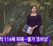 [YTN 실시간뉴스] 여의도 면적 114배 피해...물가 '초비상'