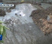 [여기는 원주] “가축분뇨 퇴비 악취로 고통”…평창군, 고발 조치