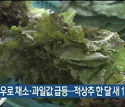 집중호우로 울산 채소·과일값 급등…적상추 한 달 새 125%↑