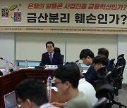 '은행의 알뜰폰 사업진출 금융혁신인가? 금산분리 훼손인가?'