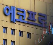 16년 만에 나온 '황제주'…"과열 양상" 진단도