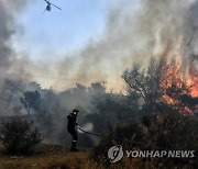 GREECE WILDFIRES