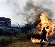 GREECE WILDFIRES