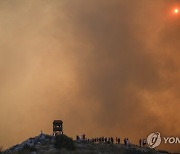 Greece Wildfires