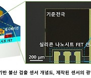 "불산 누출사고 예방"…포항공대 연구팀, 고감도 감지기 개발