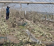 피해복구 작업하는 경찰 기동대원