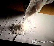 모텔방에 함께 살며 필로폰 투약…10∼20대 남녀 7명 붙잡혀