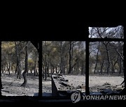 Greece Wildfires