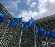 EU 경쟁총국 고위직 내정 美교수, '비EU 출신' 논란에 결국 사임