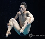 APTOPIX Japan Swimming Worlds