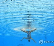 Japan Swimming Worlds