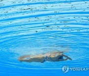 Japan Swimming Worlds