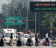 폭염경보 속 피어오르는 아지랑이