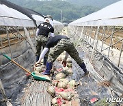 32사단·특전사 3000명 대전·충남서 구슬땀…수해 주민들 “큰 도움”