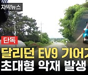 [단독] "고속도로였다면..." 기아 EV9 신차 인수 이틀 만에 벌어진 일