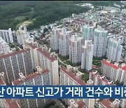 울산 아파트 신고가 거래 건수와 비중 늘어