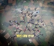 [오늘의 영상] 41명이 한꺼번에! 초대형 스카이다이빙 묘기