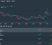 [베트남증시 20일 마감시황] VN지수 -0.17p(-0.01%) 1,172.81 약보합 마감…은행주 하루만에 반락 및 중형주 약세에 유동성도 '뚝'