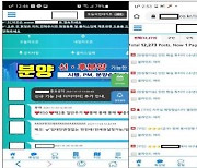 ‘빌라왕’ ‘건축왕’ 불법 주택광고 방치한 부동산 플랫폼