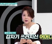 이효춘 "'김치 싸대기' 당시 母 쓰러져…신장 투석해야 한다고" (퍼펙트라이프)