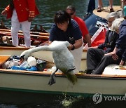 BRITAIN SWAN UPPING