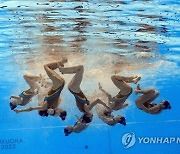 Japan Swimming Worlds