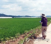 청양 침수 피해 농경지 긴급 방제