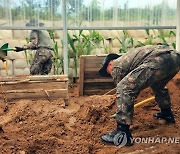 육군 31사단, 수해복구 지원