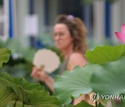 한여름 연꽃축제