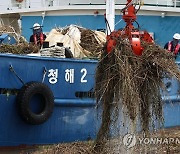 목포항 유입쓰레기 수거