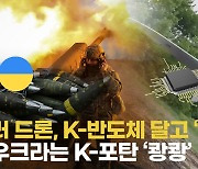 [단독] 러시아 드론에 K반도체가? 규제 품목 되파는 제3국 업자 탓