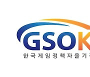 GSOK, 청소년 게임이용자 조사 보고서...유튜브에 밀린 게임