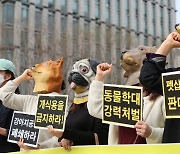 개·고양이 1256마리 죽인 60대…법정 최고형 3년