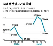 제주서 따고, 충청서 또 따고…제철 망고 1년에 두번 맛본다