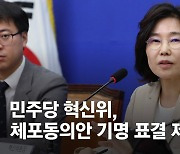 "수박 색출용이냐"…'체포동의 기명 표결' 혁신위 방안에 '시끌'