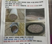 배수구에 '고양이용 모래' 한가득…"거실 물바다 됐다" 분노