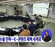 맞춤형 콘텐츠 수출 전략···K-콘텐츠 매력 세계로