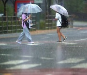 [내일날씨] "전국 대부분 비"… 제주 '최대 120㎜' 폭우