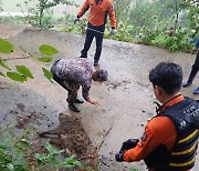 "여수에 출몰한 멧돼지 잡아라" 특명