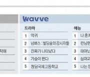 OTT 분야별 TOP5