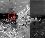 [포착] 러군에 떨어지는 ‘강철비’...우크라, 미 제공 ‘집속탄’ 첫 사용