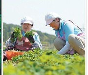 롯데카드, ‘띵크어스’로 크리에이터와 동행