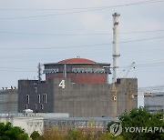 '자포리자 원전 지붕 폭발물 조사' IAEA "러, 여전히 접근 불허"