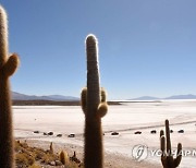 BOLIVIA LITHIUM