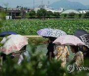 무더위 양산 필수