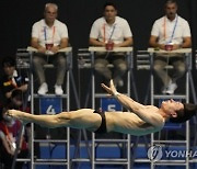 Japan Swimming Worlds